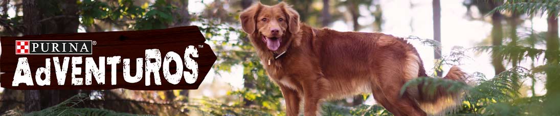 Adventuros Dog Treats